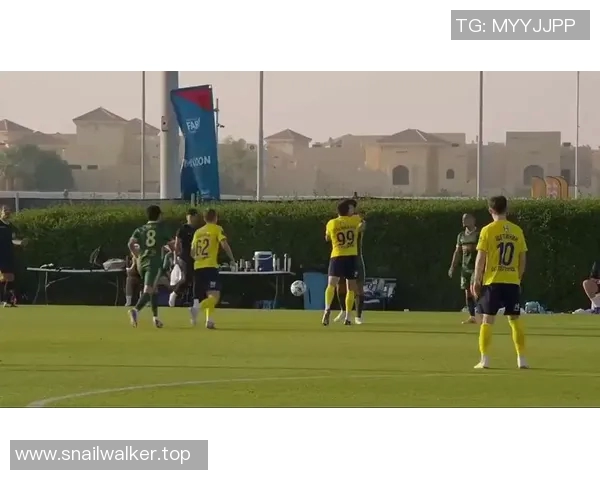 球员比赛中被红牌罚下，镜头捕捉愤怒瞬间