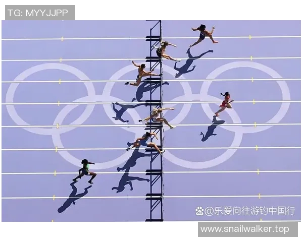 奥运会田径跨栏项目的技术难点分析与科学化训练方法研究