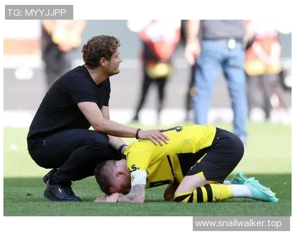 球迷自制应援视频感动球星深情转发展现粉丝无限热爱与支持